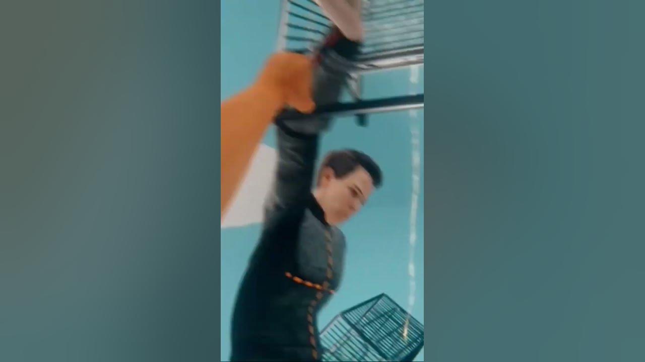 СМЕШНЫЕ МОМЕНТЫ МАРМОКА 🤣 - YouTube