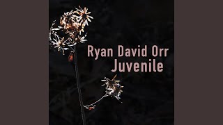 Video thumbnail of "Ryan David Orr - Juvenile"