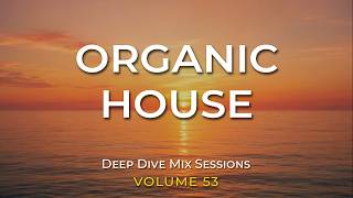 Aurora's Solace | Organic House | Deep Dive Mix Sessions #053