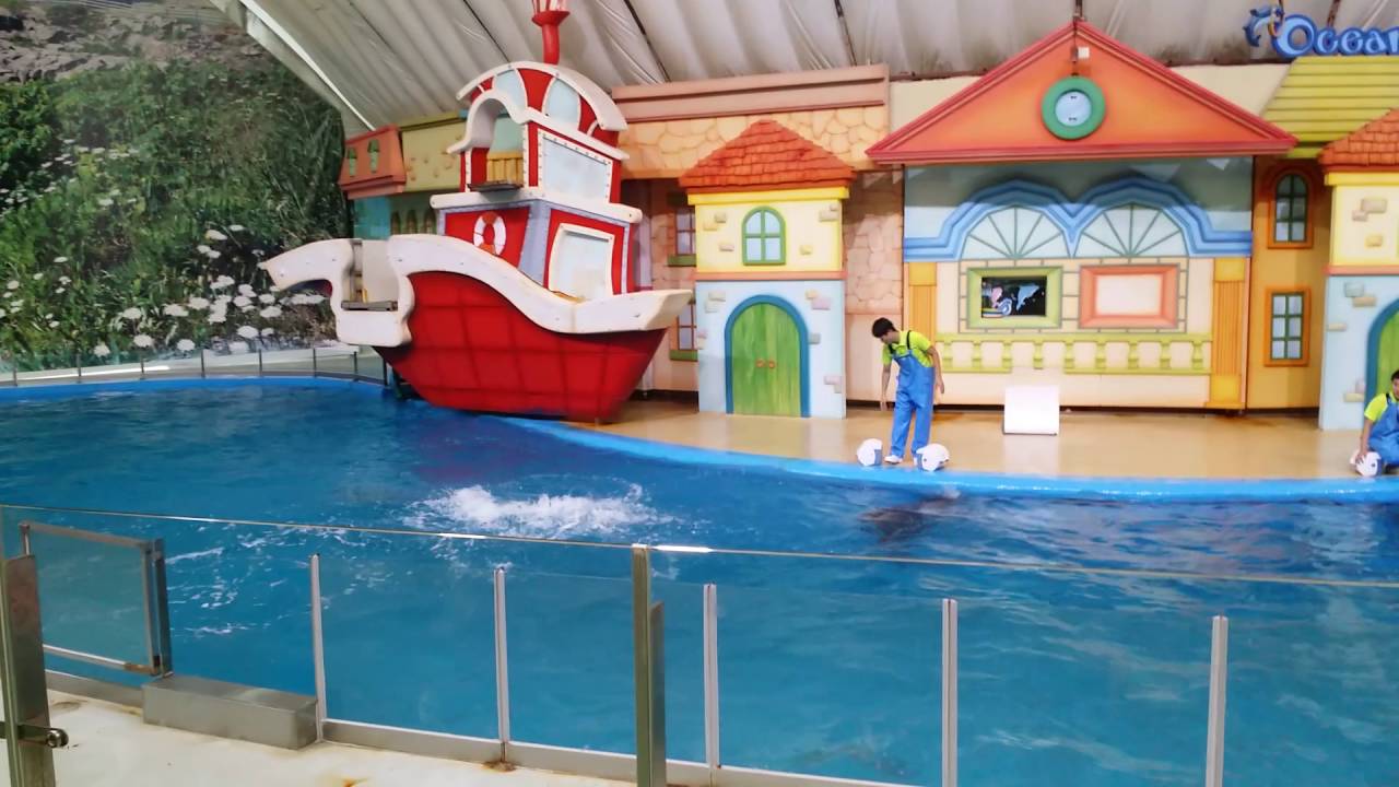 서울동물원 해양관 생태설명회