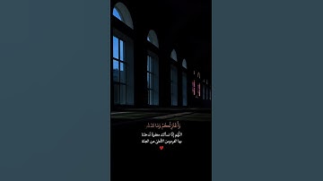 سورة مريم 💙#حالات_دينية #حالات_واتس #حالات_واتساب #حالات #قرآن #حالات_واتس_اب