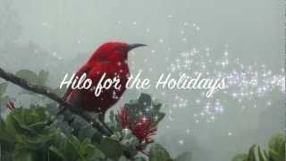 Video thumbnail of "KUANA TORRES KAHELE  Hilo For The Holidays.mov"