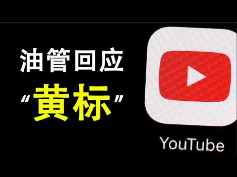 天亮时分：YouTube回应“黄标”事件;一次造假不到位的视察(政论天下第126集 20200305) 