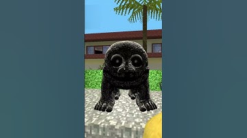 From Micro to Monster: Zoonomaly Size Differences in GMod