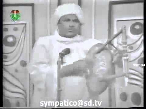 اليمني دار ود قمر