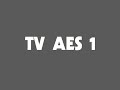 TV AES 1 - Kanali identiteet (1960 - 1962)