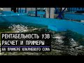 Рентабельность УЗВ на примере УЗВ для клариевого сома