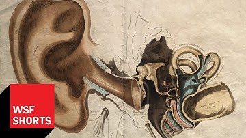 Improving Cochlear Implants and Electronic Hearing