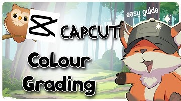 CapCut-kleurcorrectiehandleiding | Filmische look voor elke video voor pc en mobiel (bijgewerkt)