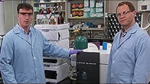 Sample Preparation in a Bioanalytical Workflow - Part 2