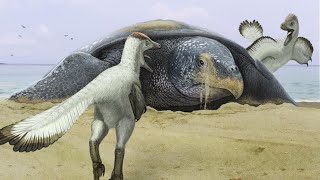 Archelon | The Biggest Turtle To Ever Live