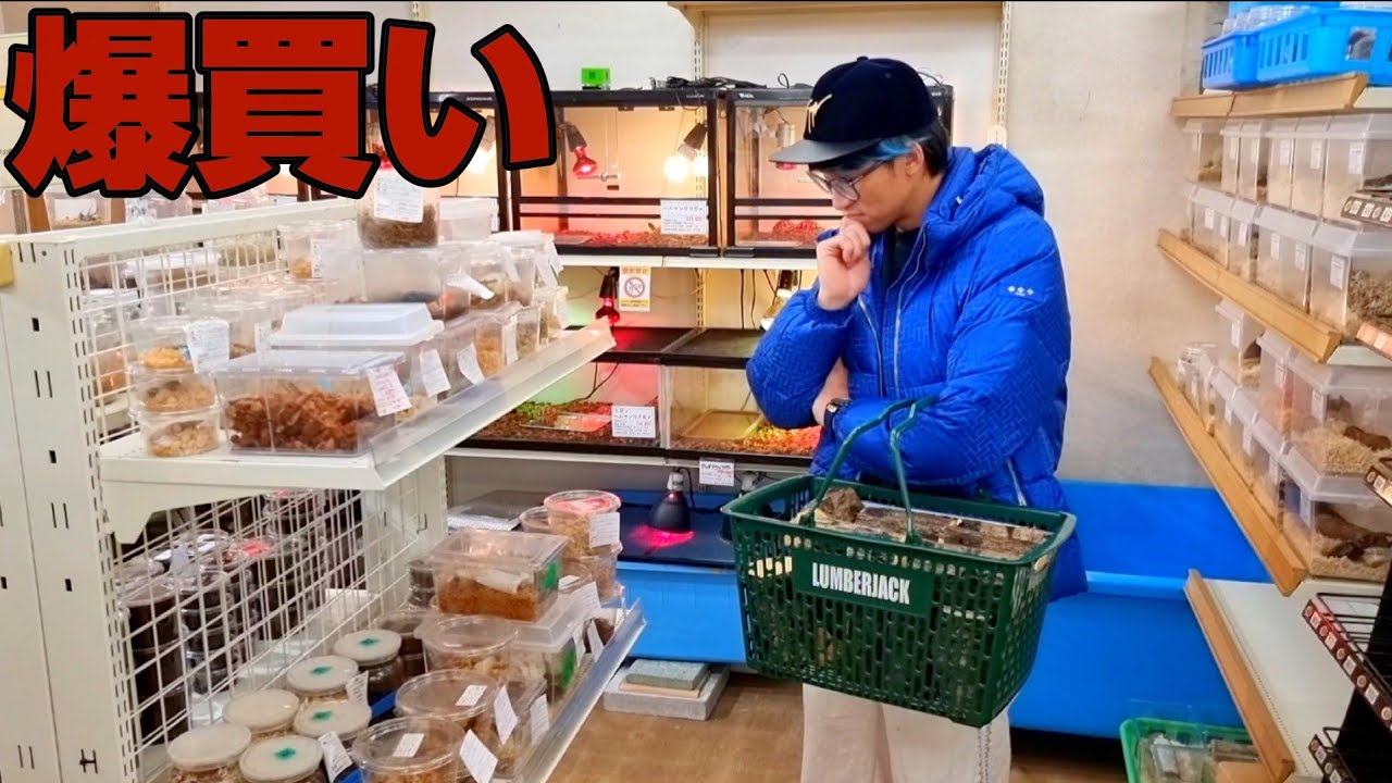 関東最大級の昆虫ショップで欲望を解放した