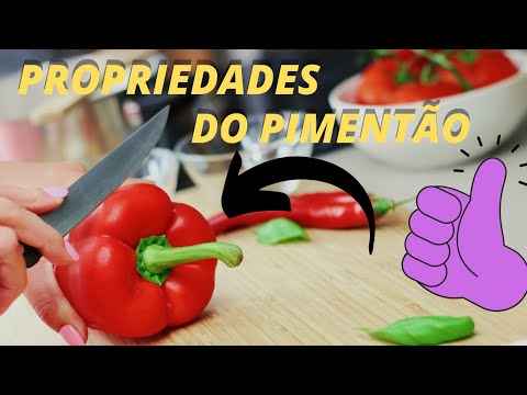 Pimentão verde, vermelho e amarelo: benefícios e receitas!♾