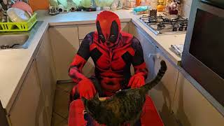 Marvel visited Maci and give a gift by I_am_ cat 44 views 3 months ago 32 seconds