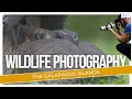 Wildlife photography in the galapagos islands giant tortoises and tiny hermit crabs