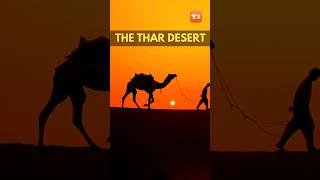 Deserts of India: The Thar Desert #geography #upsc #ias