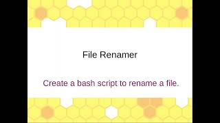 File Renamer - Bash Script for Efficient File Renaming