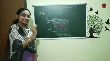 Soil erosion and conservation 5th std cbse syllubus