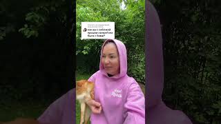 Жизнь с собакой в Германии🇩🇪Реально ли найти жилье?