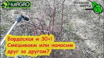 ИСКОРЕНЯЮЩАЯ ОБРАБОТКА ЗА 1 РАЗ. Смешивание препарата 30+ и бордоской жидкости. Можно или как?