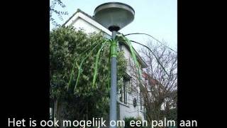 Een Palm Aan De Lantaarnpaal Vastgemaakt ...