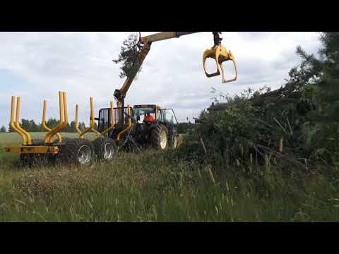 Video: Drevesa In Grmi Za živo Mejo
