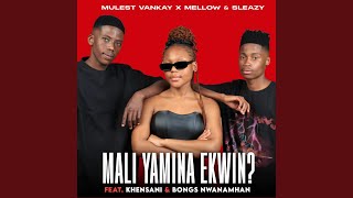 MALI YAMINA EKWIN? (feat. Khensani & Bongs Nwana Mhan)