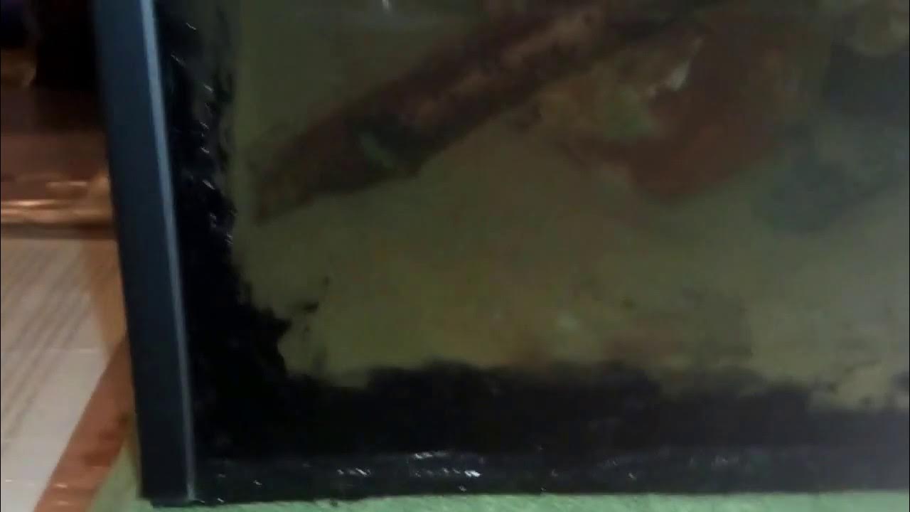 Протечка в аквариуме. Трещина на стекле аквариума. Заклейка аквариума. Течет шов аквариума. Протечка в аквариуме.