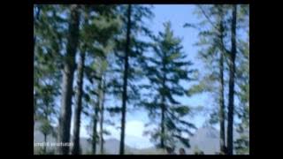 The New Lifebuoy clini-shield 10