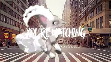 ember lightz intro CE #emberintroCE (this sucks hfvunfj)