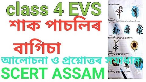শাক পাচলিৰ বাগিচা /class 4 EVS chapter 4 SCERT/class 4 evs  lesson 4