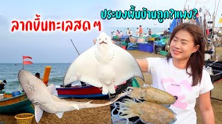 สดกว่านี้ไม่มีอีกแล้วตลาดเช้าชาวประมงขายเองหาดจอมเทียนขายถูกหรือแพง #ร้อนๆเลาะเล 19