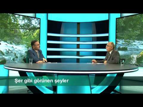 Şer gibi Görünen Şeyler