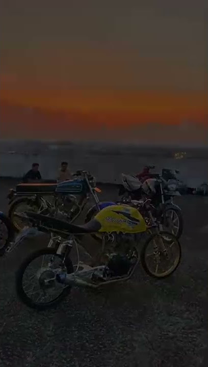 Story wa keren Tiger herex || cocok buat anak motor nih