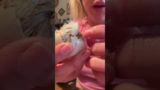 She’s stuck in the egg 🥺