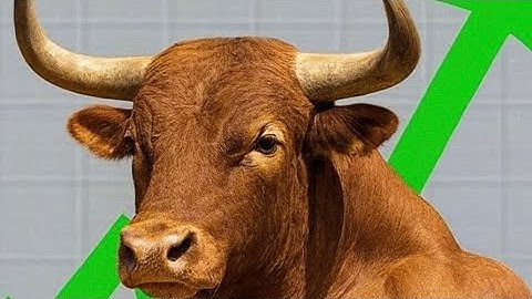 How to Bridge USDT from Ethereum (Metamask) to Kaanch Wallet – Step-by-Step Tutorial