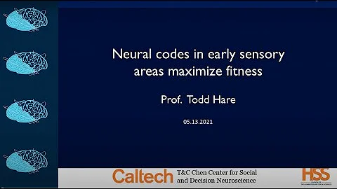 T&C Chen Center for Social Decision Neuroscience Seminar - Todd Hare