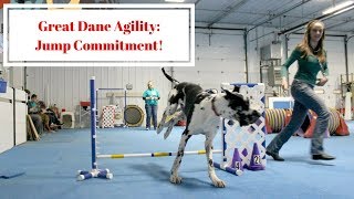 Jump Commitment at Beginner Agility Practice with my Great Dane. by Katelyn Key 370 views 6 years ago 1 minute, 16 seconds