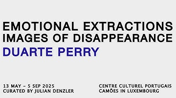 Duarte Perry | Emotional Extractions — Images of Disappearance