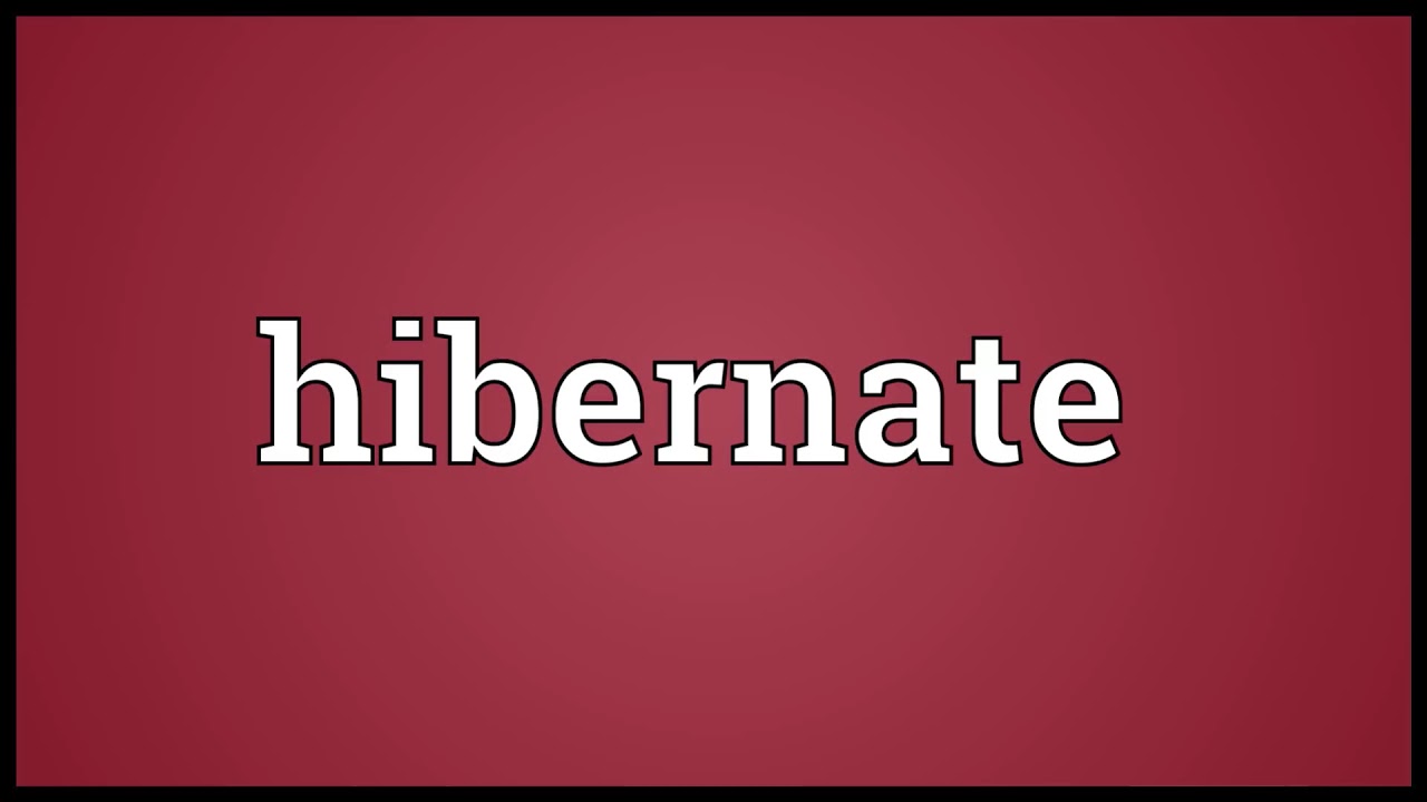 hibernate meaning