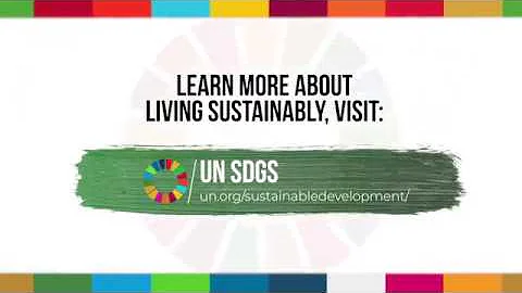Sustainable Development Goal 13 - Climate action
