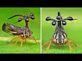 БРАЗИЛЬСКАЯ ГОРБАТКА — Это красивое насекомое охраняют муравьи и даже приходят к ней на помощь!