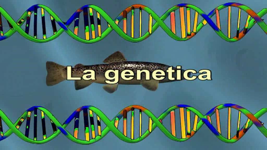 La trota mediterranea - 4