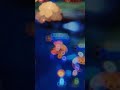 nana heroes #mobilelegends #shortvideos #mlbb