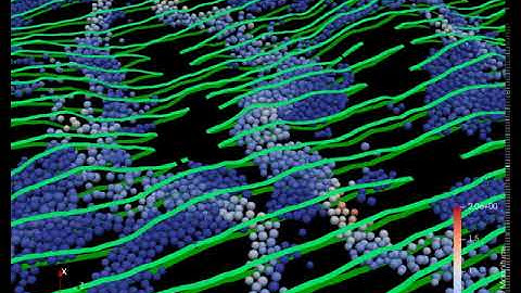 Particles with flow in fracture geometry