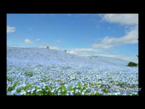 ＧＬＡＹ「However」歌ってみた【Re】