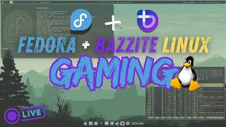 What Linux Distro Are YOU gaming on? Linux Gaming Live | Fedora + Bazzite