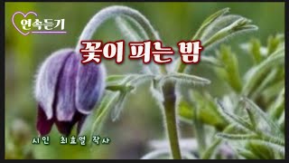 #시노래 | 꽃이 피는 밤 [연속듣기] |글 최효열 시인ㅣ곡 제작 물미 하이디🍃[시노래]
