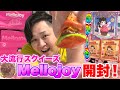 【大流行】新世代スクイーズ「メロジョイMellojoy」を初開封したら魅力満点すぎた!!