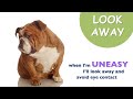 Dog Communication: Dog Body Language Dog Communication: Dog Body Language